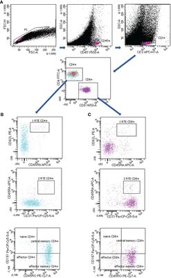 Effector Memory T Cells and CD45RO+ Regulatory T Cells in Metastatic vs. Non-Metastatic Lymph Nodes in Lung Cancer Patients